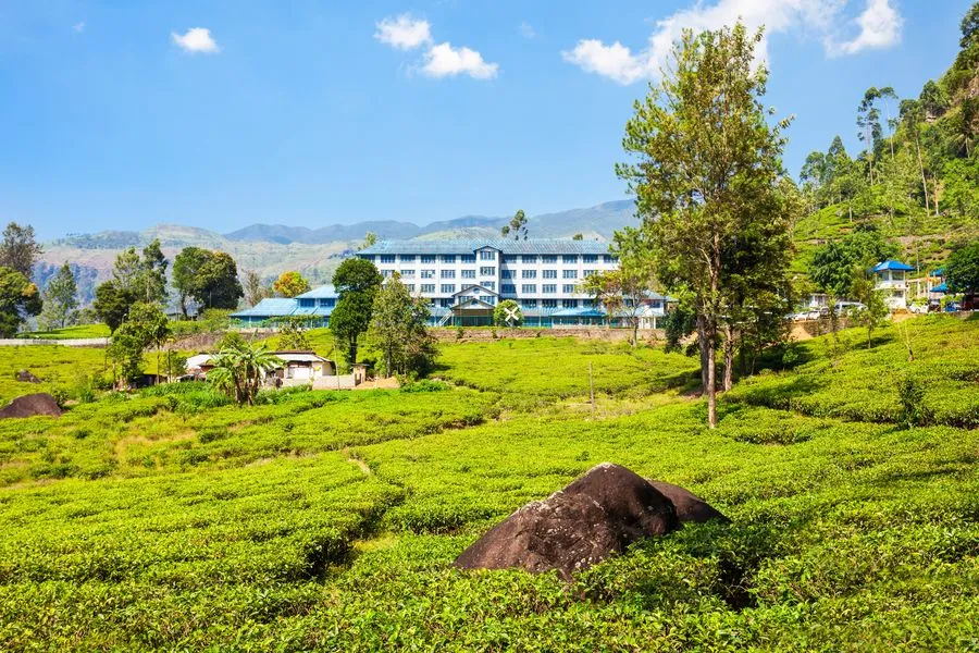 Love in Ceylon: A Romantic Getaway