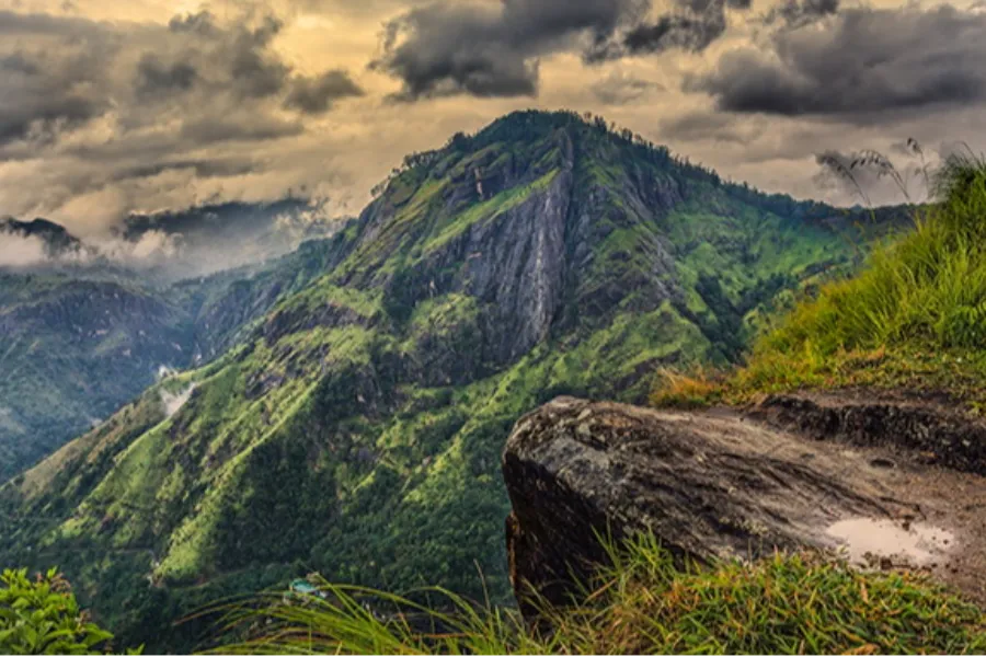 Sri Lanka Honeymoon Tour | 7-Day Romantic Getaway | Viathra Leisure