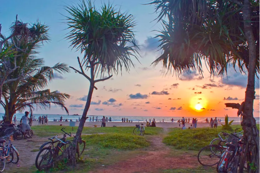 Sri Lanka Honeymoon Tour | 7-Day Romantic Getaway | Viathra Leisure