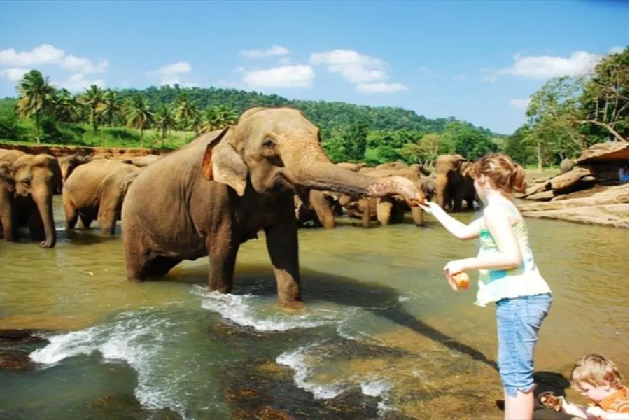 Love in Ceylon: A Romantic Getaway