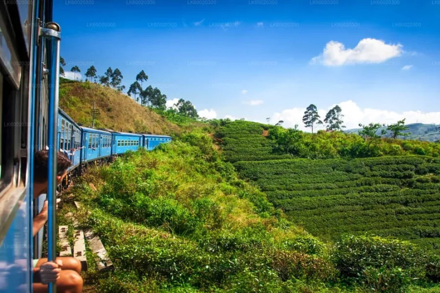 Island of Romance: A Sri Lankan Honeymoon Escape | Viathra Leisure