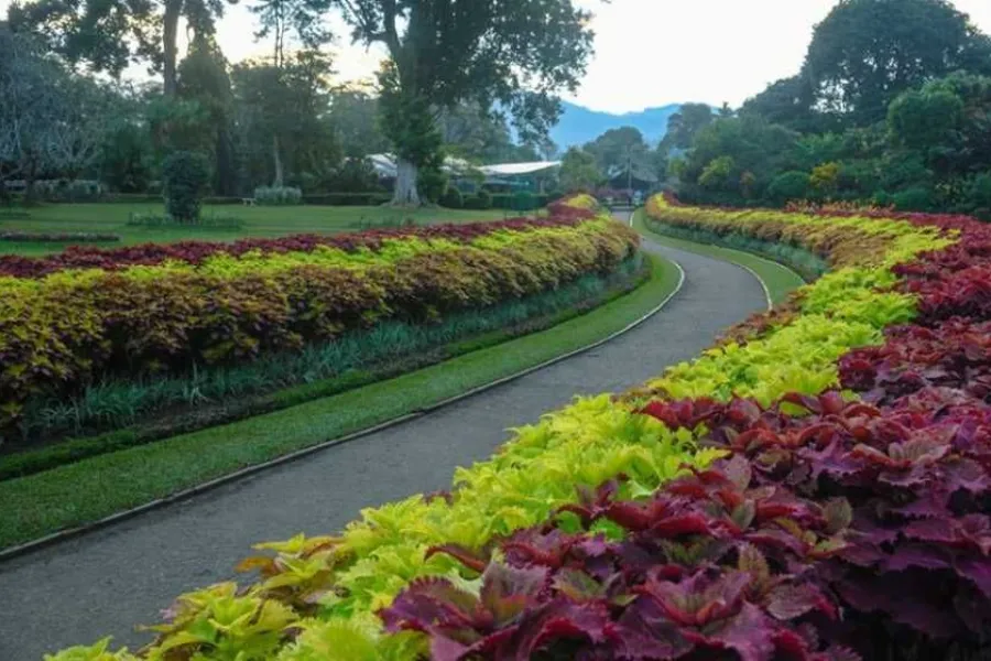 Luxury Sri Lanka Tour | 6-Day Ceylon Grandeur Escape | Viathra Leisure