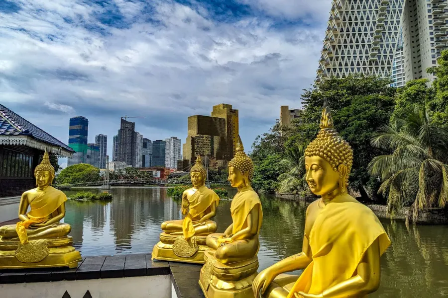 Luxury Sri Lanka Tour | 6-Day Ceylon Grandeur Escape | Viathra Leisure