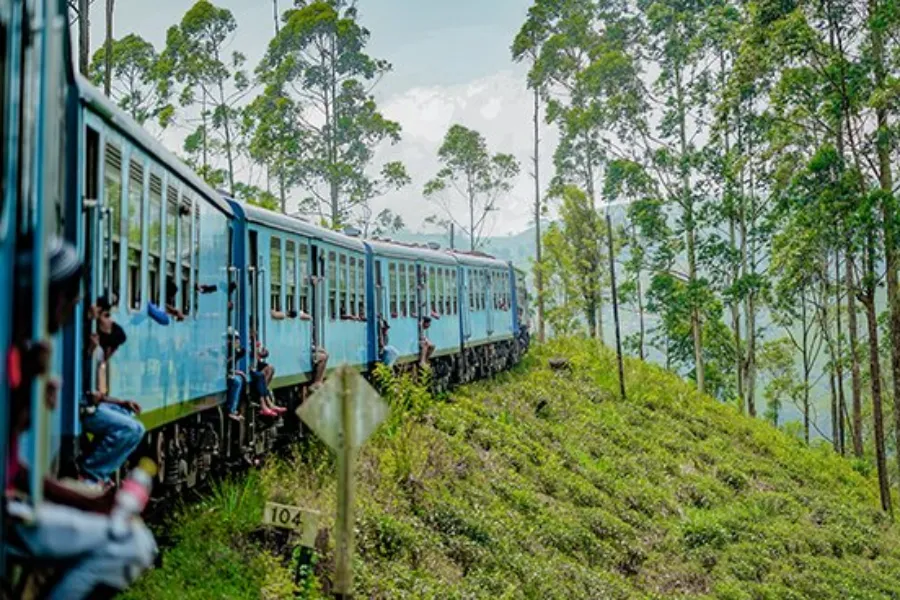 Luxury Sri Lanka Tour | 10-Day Ceylon Signature Journey | Viathra Leisure