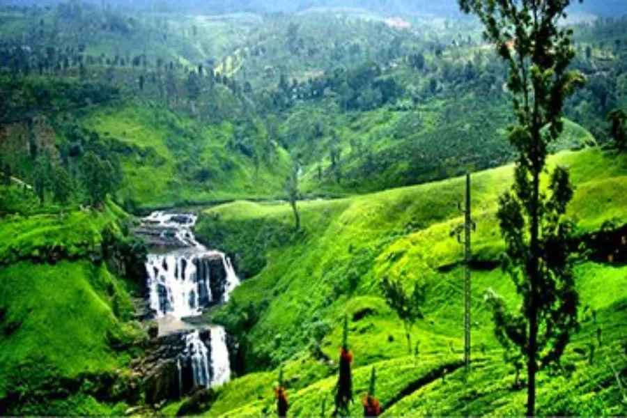 Luxury Sri Lanka Tour | 10-Day Ceylon Signature Journey | Viathra Leisure