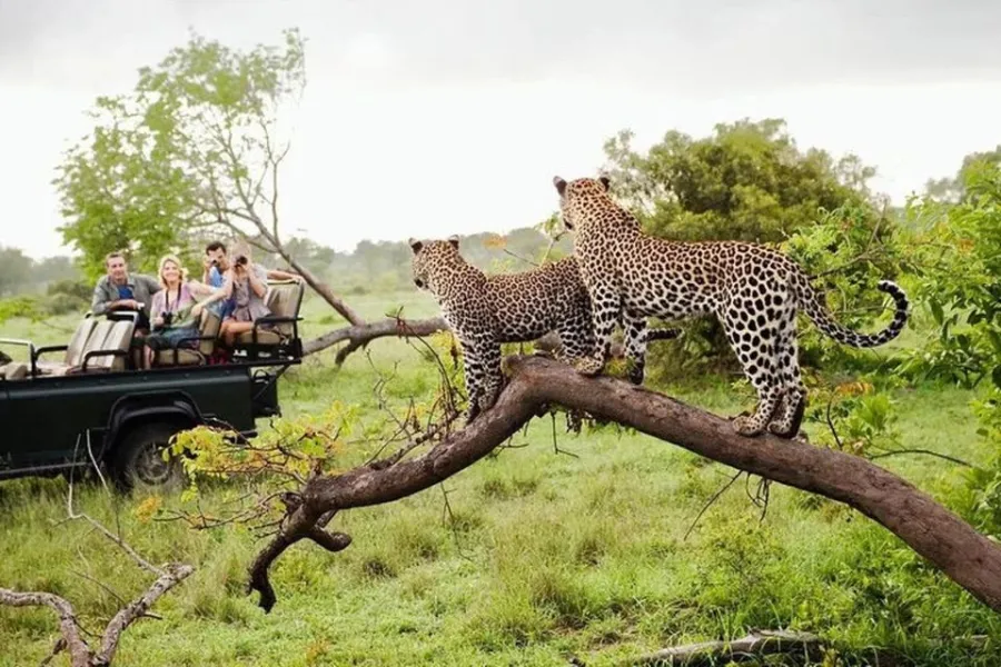 Leopard Trails & Rainforest Secrets: 6 Days of Sri Lankan Wilderness | Viathra Leisure