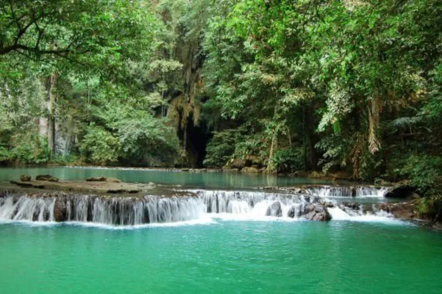 Leopard Trails & Rainforest Secrets: 6 Days of Sri Lankan Wilderness | Viathra Leisure