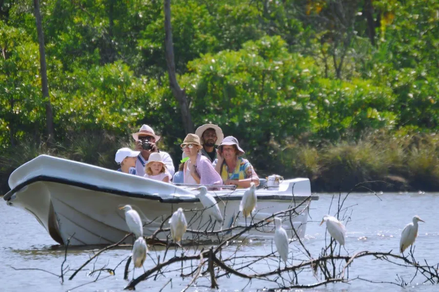 Big Five of Sri Lanka: 7-Day Wildlife & Marine Adventure | Viathra Leisure