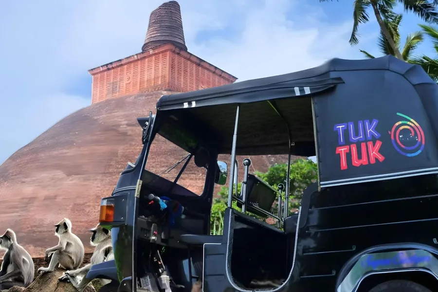 Wild North & Cultural Encounters: 8-Day Northern Sri Lanka Safari & Heritage Tour