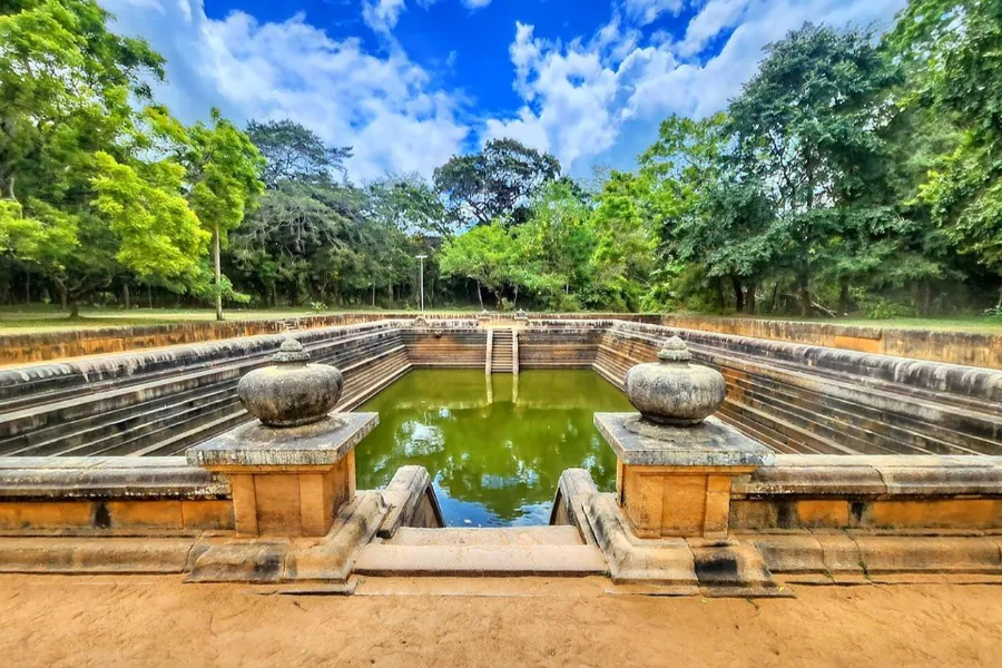 Wild North & Cultural Encounters: 8-Day Northern Sri Lanka Safari & Heritage Tour