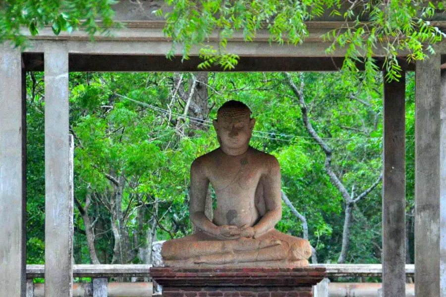 Wild North & Cultural Encounters: 8-Day Northern Sri Lanka Safari & Heritage Tour