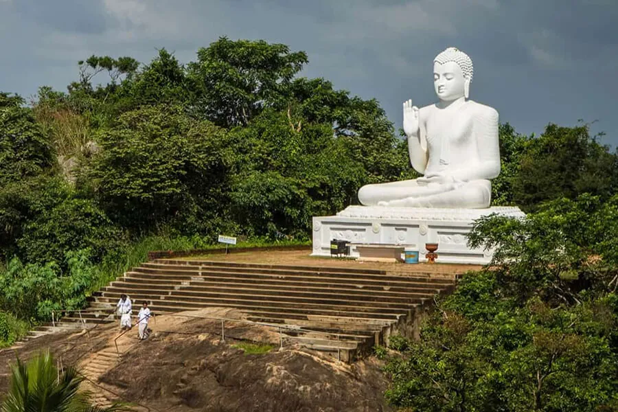 Wild North & Cultural Encounters: 8-Day Northern Sri Lanka Safari & Heritage Tour
