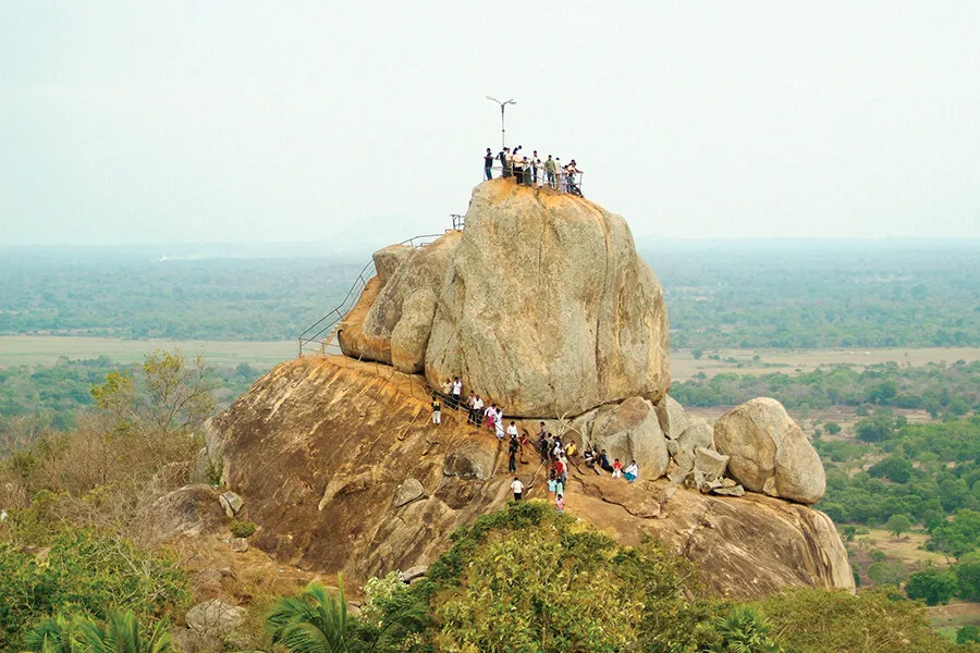Northern Sri Lanka Safari Tour | 8-Day Heritage Journey | Viathra Leisure