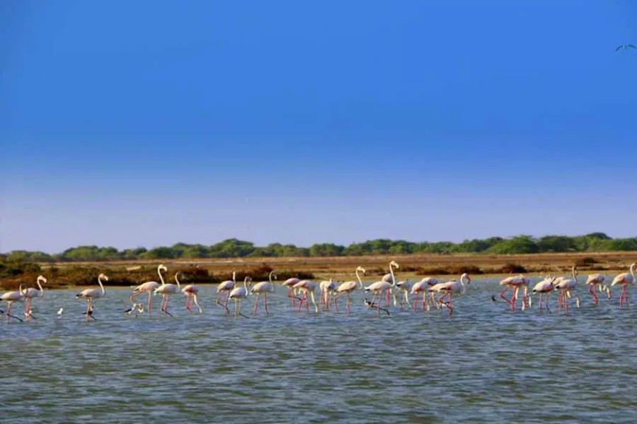 Northern Sri Lanka Safari Tour | 8-Day Heritage Journey | Viathra Leisure