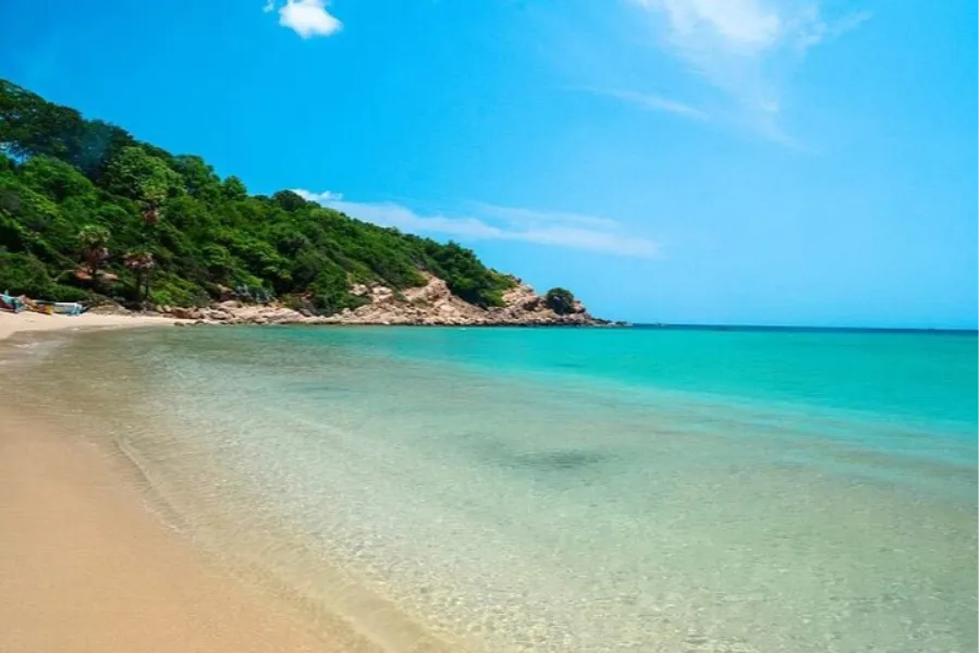 Northern Sri Lanka Safari Tour | 8-Day Heritage Journey | Viathra Leisure