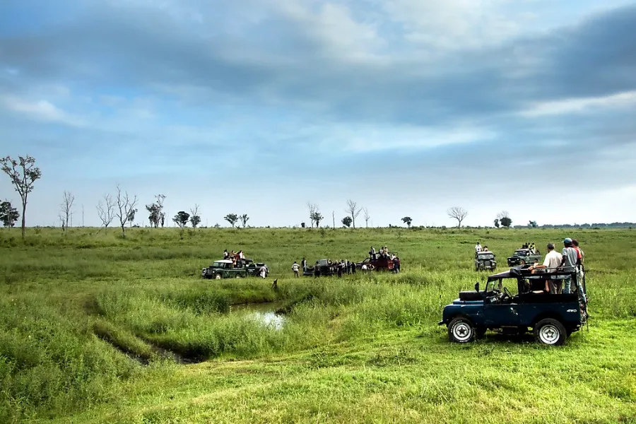 Wildlife Adventure Tour – 8 Days | Sri Lanka | Viathra Leisure