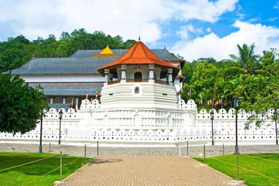 Wildlife Adventure Tour – 8 Days | Sri Lanka | Viathra Leisure