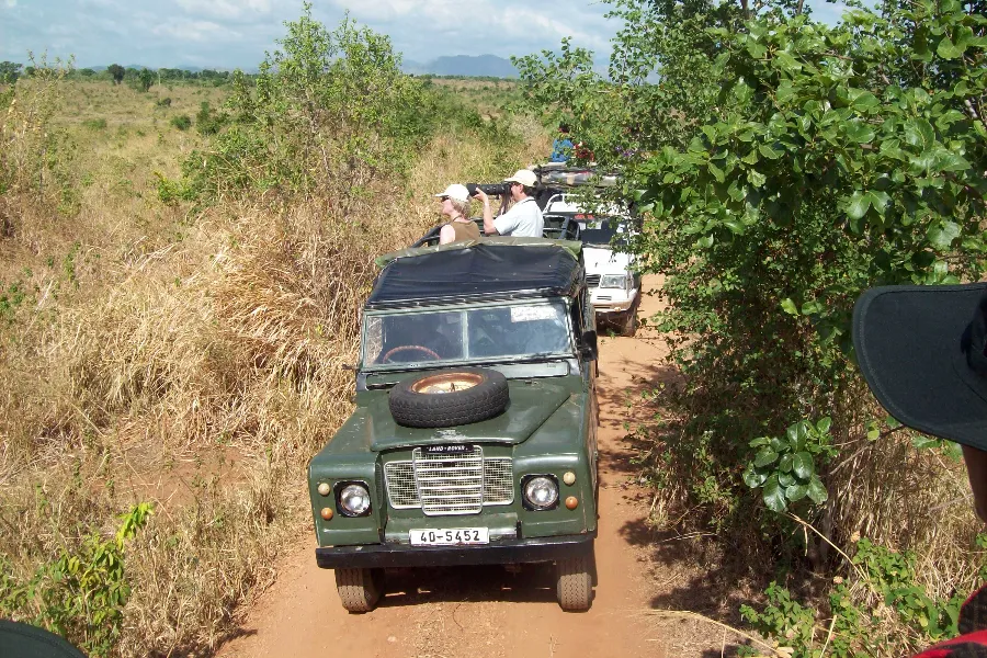 Wildlife Adventure Tour – 8 Days | Sri Lanka | Viathra Leisure