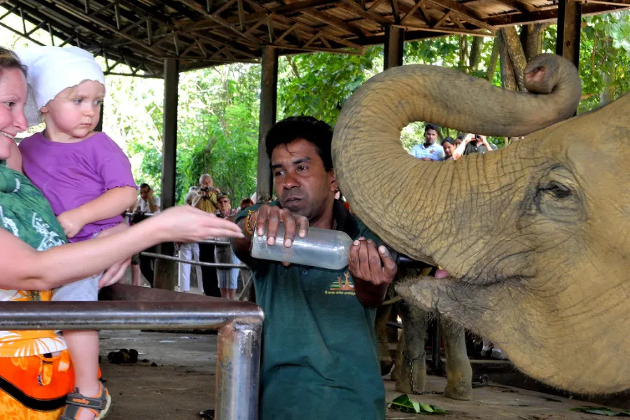 Kandy & Nuwara Eliya 2-Day Hill Country Tour (All-Inclusive) | Viathra Leisure