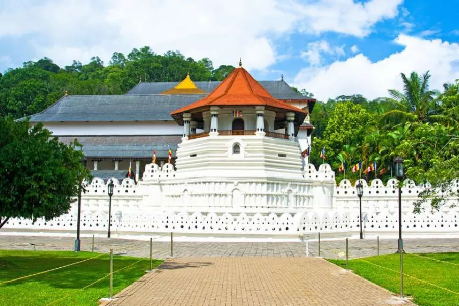 Sigiriya, Dambulla & Kandy 2-Day Cultural Triangle Tour (All-Inclusive) | Viathra Leisure