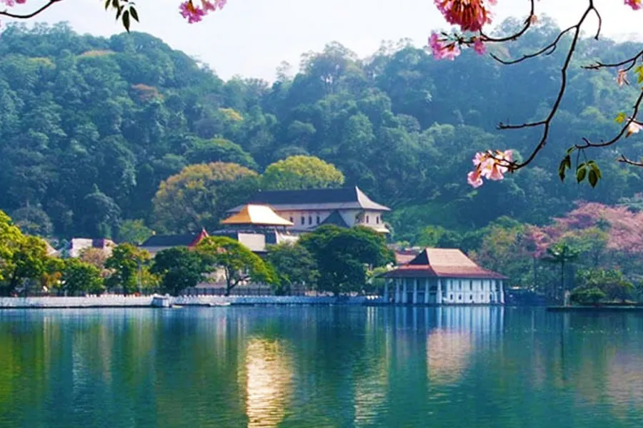 Sigiriya, Dambulla & Kandy 2-Day Cultural Triangle Tour (All-Inclusive) | Viathra Leisure