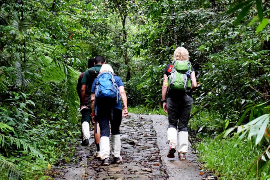 Sinharaja Rainforest Tour | 2-Day Eco Adventure | Viathra Leisure