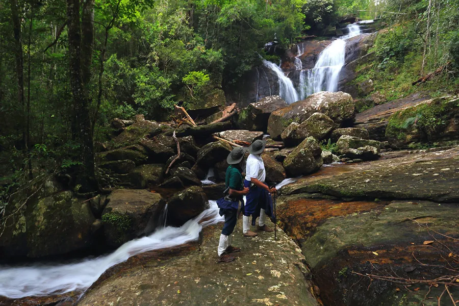 Sinharaja Rainforest Tour | 2-Day Eco Adventure | Viathra Leisure