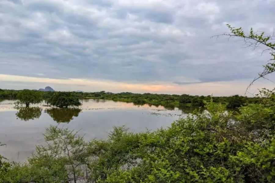 Yala National Park 2-Day Safari with 1-Night Camping & BBQ Dinner (All-Inclusive) | Viathra Leisure