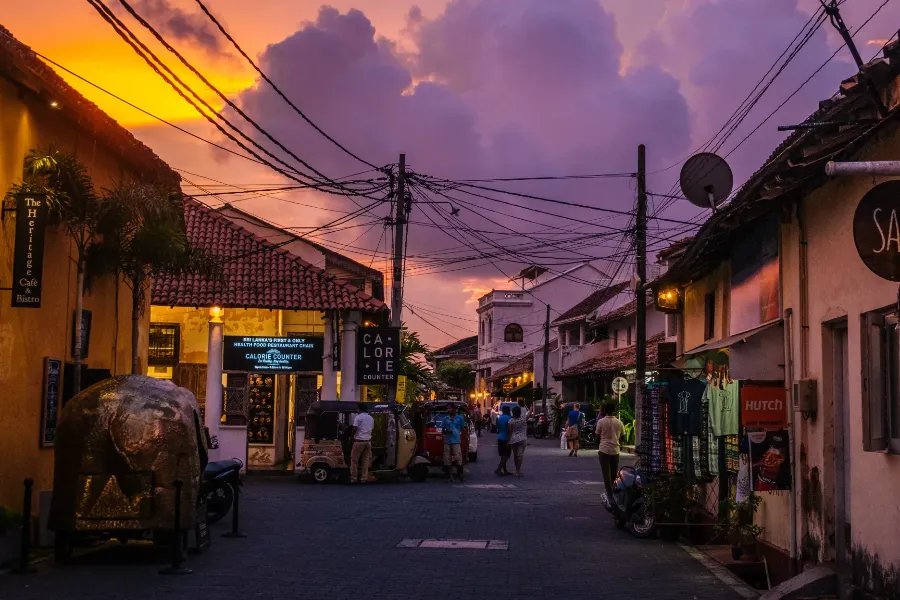Galle Day Tour with Madu River Safari, Kosgoda Turtle Hatchery & Cultural Stops (All-Inclusive) | Viathra Leisure