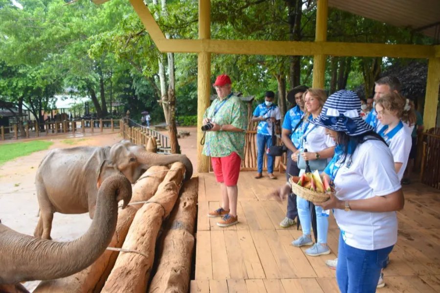 Kandy Royal Heritage Day Tour – All-Inclusive Cultural Experience from Colombo, Negombo, or Bentota | Viathra Leisure