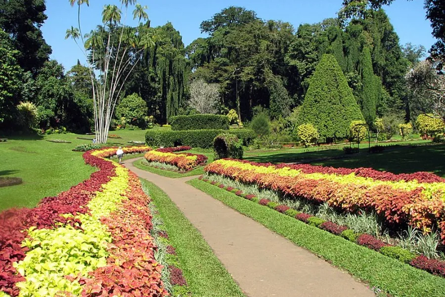 Kandy Royal Heritage Day Tour – All-Inclusive Cultural Experience from Colombo, Negombo, or Bentota | Viathra Leisure