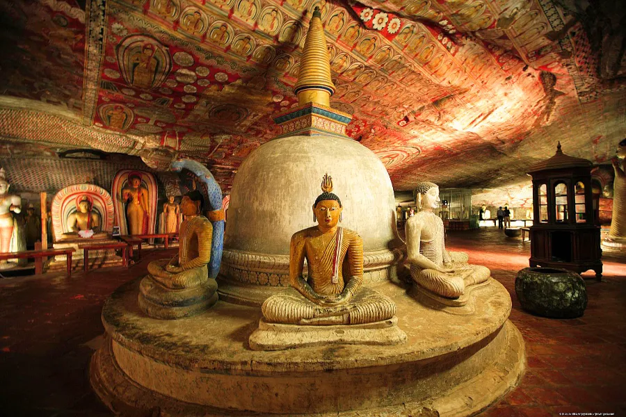Sigiriya & Dambulla Day Tour from Colombo / Negombo / Bentota (All-Inclusive) | Viathra Leisure