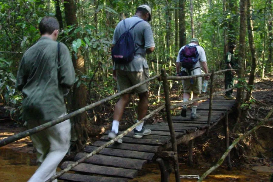 Sinharaja Rainforest Day Tour – All-Inclusive Jungle Trek from Colombo, Bentota, or Galle | Viathra Leisure
