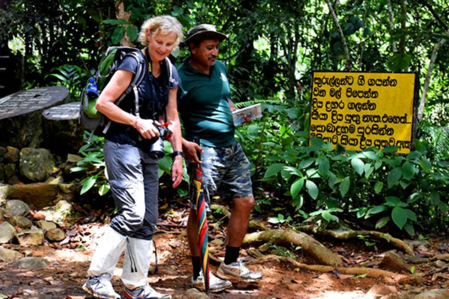 Sinharaja Rainforest Day Tour – All-Inclusive Jungle Trek from Colombo, Bentota, or Galle | Viathra Leisure